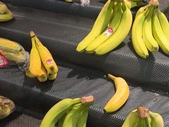 -兔香居·自贡盐帮江湖菜(黄村店)