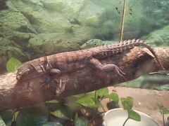 android_upload_pic-上海大自然野生昆虫馆