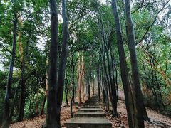 -火炉山森林公园
