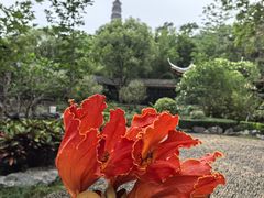 -顺峰山公园