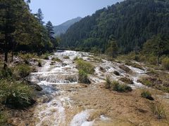 -九寨沟-树正沟