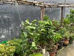 -东钱湖旅游度假区