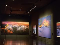 -罗红摄影艺术馆