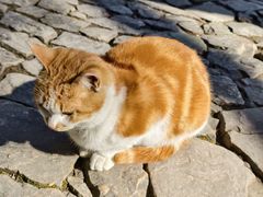 -狼山风景名胜区