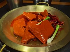 -王婆乔鲜鱼自助火锅(蜀汉路店)