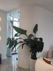 点击看大图 -Dr.Jane皮肤管理中心