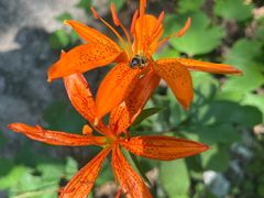 -崂山九水游览区