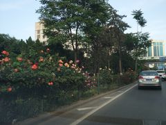 -德懋恭(西大街店)