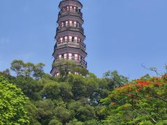 -顺峰山公园
