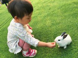 -萌宠亲子动物乐园(槐房万达店)