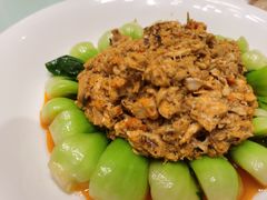 -新吉士·上海菜(浦东LCM置汇旭辉店)