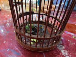 -吾行DIY手工坊(壹方北馆店)