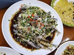 -全乐鱼馆·淳牌有机鱼直营店
