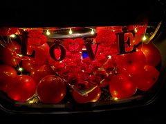 -循礼门鲜花花市(武汉循礼门店)