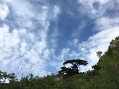 -麦当劳(北苑秋实路店)