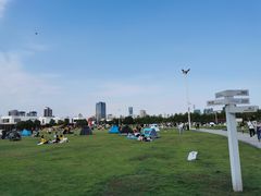 -栖露营camping·天幕烧烤·团建拓展·采摘营地