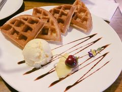 -百好乐宠物友好餐厅(朝外大街店)