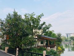 -湘湖金融镇