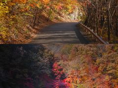 -关门山森林公园