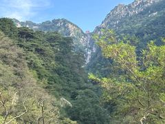 -泰山风景名胜区