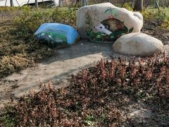 -上海浦江郊野公园-2号停车场