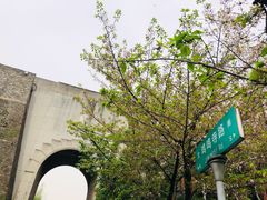 -鸡鸣赐茶(鸡鸣寺路店)
