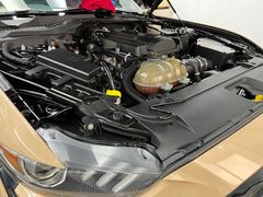 -XPEL旗舰店·汽车贴膜·隐形车衣·改色贴膜