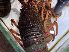 -万龙洲海鲜(南新仓店)