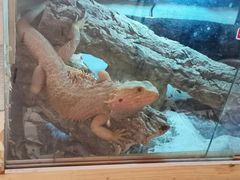 -Rabbit Cafe私房西餐甜点咖啡(栖霞路店)