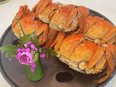 红酒醉熟蟹-马头巷·隐庐居·红油大虾(园区店)