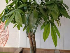 -德克士(中心医院店)