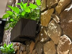 -满来寿喜烧(金虹桥店)