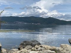 -才村湿地公园