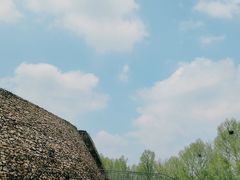 -洋湖国家湿地公园