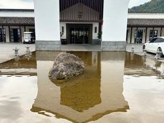 -杭州雅谷泉山庄酒店-餐厅