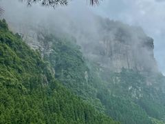 -重庆睡佛山森林公园