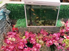 -东方豪客牛排意面披萨(金凤万达店)