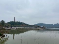 -顺峰山公园