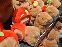 -酷乐潮玩(五道口购物中心店)