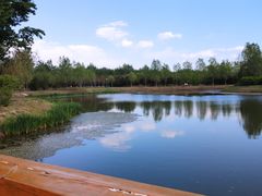 -东郊湿地公园