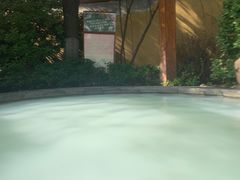 -仁爱团泊湖温泉中心