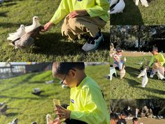 -南通洲际绿博园