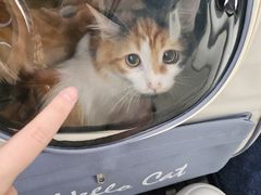 -萌兽医馆·犬猫专科·眼科中心·宠物医院(朝阳门分院)