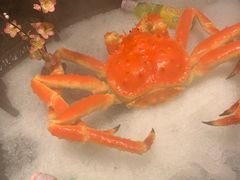 -玩米匠(寿司·刺身·金水正弘城店)