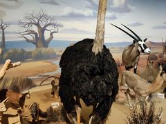 -陕西自然博物馆