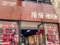 -阳阳老火锅(小南门店)