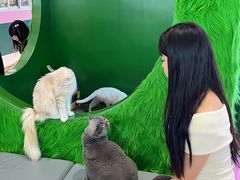 -PO PARK东方宝泰