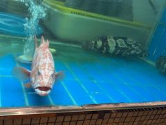 -阳光码头海鲜火锅(世纪大道店)