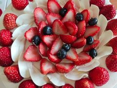 -维尔纳斯·生日蛋糕动物奶油冰淇淋蛋糕(人大店)