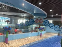 -海豚堡温泉水乐园